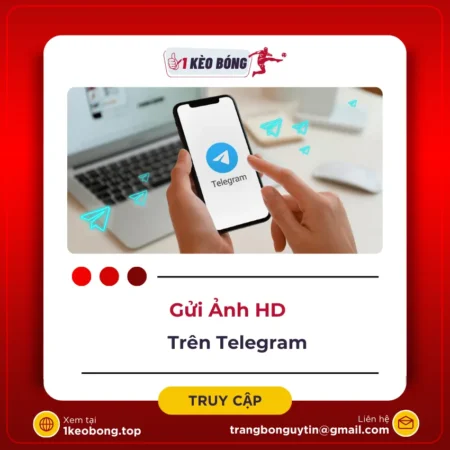 Hướng dẫn cách gửi ảnh HD & Video chất lượng cao qua Telegram