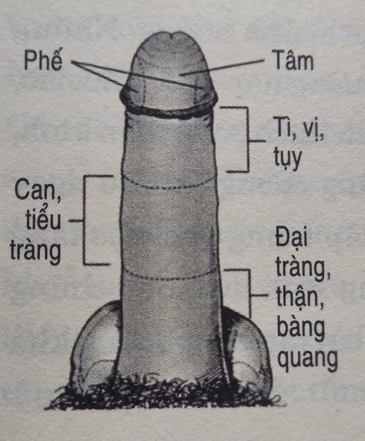 lingam-la-gi-1