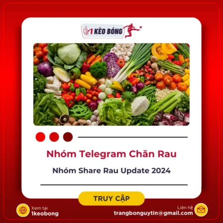 Nhóm Telegram chăn rau  – Share rau sạch hot nhất 2024