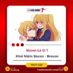 siscon-la-gi-1kb