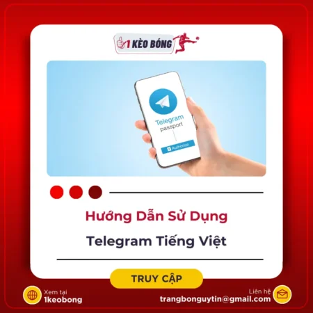 Telegram Tiếng Việt – Cách sử dụng Telegram (Update 2024)