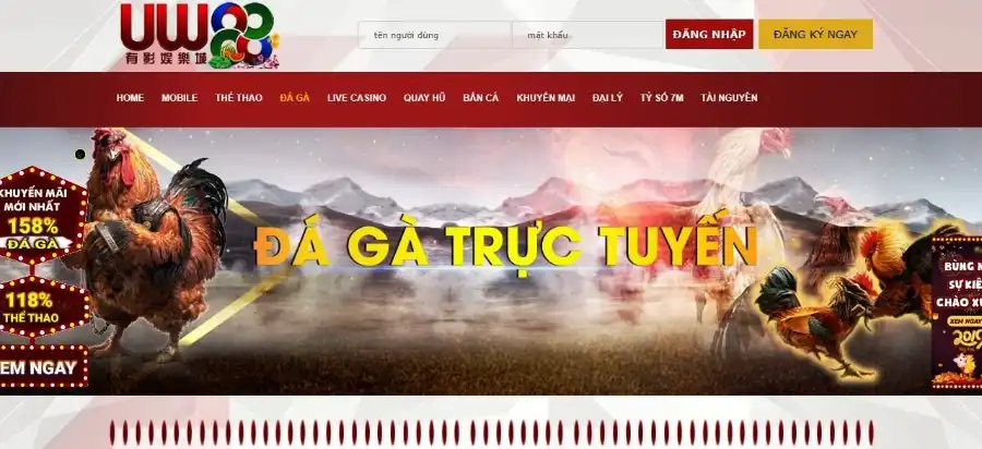 Trang đá gà trực tiếp uy tín nhất UCW88