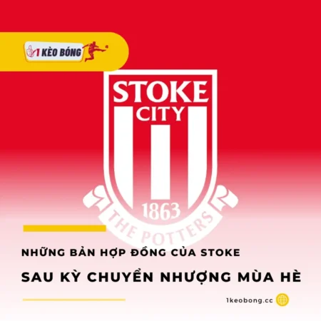 Những bản hợp đồng từ kỳ chuyển nhượng mùa hè của Stoke City