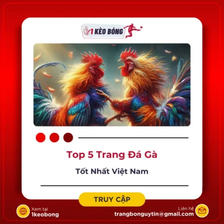 Trang đá gà trực tiếp uy tín nhất – Tham khảo kiếm tiền qua đá gà online